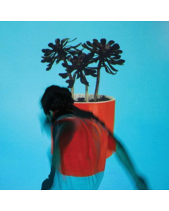 LOCAL NATIVES - SUNLIT YOUTH (150G/DL CARD)