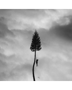 MANCHESTER ORCHESTRA - BLACK MILE TO THE SURFACE (2LP)