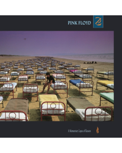 PINK FLOYD - MOMENTARY LAPSE OF REASON (180G/GATEFOLD) (2016 VERSION)