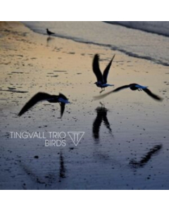 TINGVALL TRIO - BIRDS