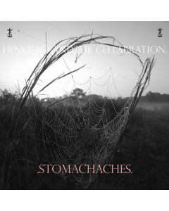 FRNKIERO & THE CELLABRATION - STOMACHACHES (X)