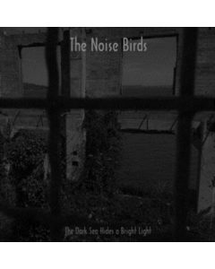 NOISE BIRDS - DARK SEA HIDES A BRIGHT LIGHT