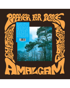 AMALGAM - PRAYER FOR PEACE