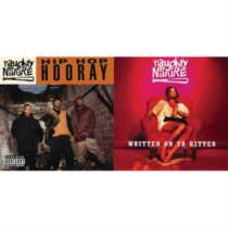 NAUGHTY BY NATURE - HIP HOP HOORAY/WRITTEN ON YA KITTEN