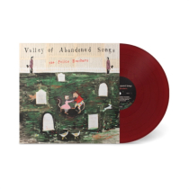FELICE BROTHERS - VALLEY OF ABANDONED SONGS (BURGUNDY VINYL) (I)