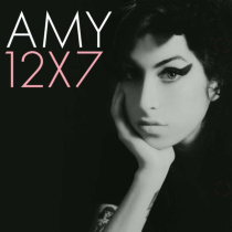 WINEHOUSE,AMY - 12X7: THE SINGLES COLLECTION (12-7INCH SINGLES BOX SET)