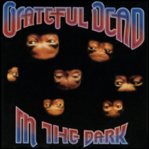 GRATEFUL DEAD - IN THE DARK