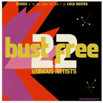 VARIOUS ARTISTS - BUST FREE 22 (180G/MARBLED WHITE & PINK VINYL)