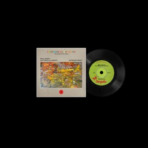 LINDSAY,MIKE FEAT. GUY GARVEY / KATHERINE PRIDDY - ENDLESS COLOURED WAYS: THE SONGS OF NICK DRAKE - SATURDAY SUN / I THINK THEY'RE LEAVING ME BEHIND