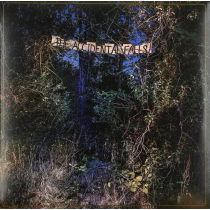 EYELIDS - ACCIDENTAL FALLS (ICE BLUE VINYL/DL CARD) (I)
