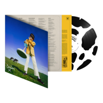 MCKENNA,DECLAN - WHAT HAPPENED TO THE BEACH? (X) (140G/DELUXE/MOO ECO-VINYL PICTURE DISC) (I)