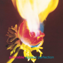 ADORABLE - AGAINST PERFECTION (180G)
