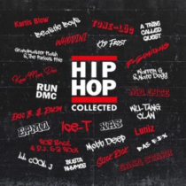 VARIOUS ARTISTS - HIP HOP COLLECTED (180G/2LP)