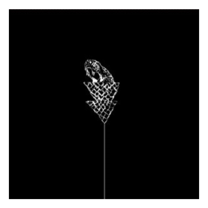 WETWARE - FLAIL (CLEAR VINYL)