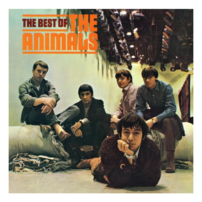 ANIMALS - BEST OF THE ANIMALS