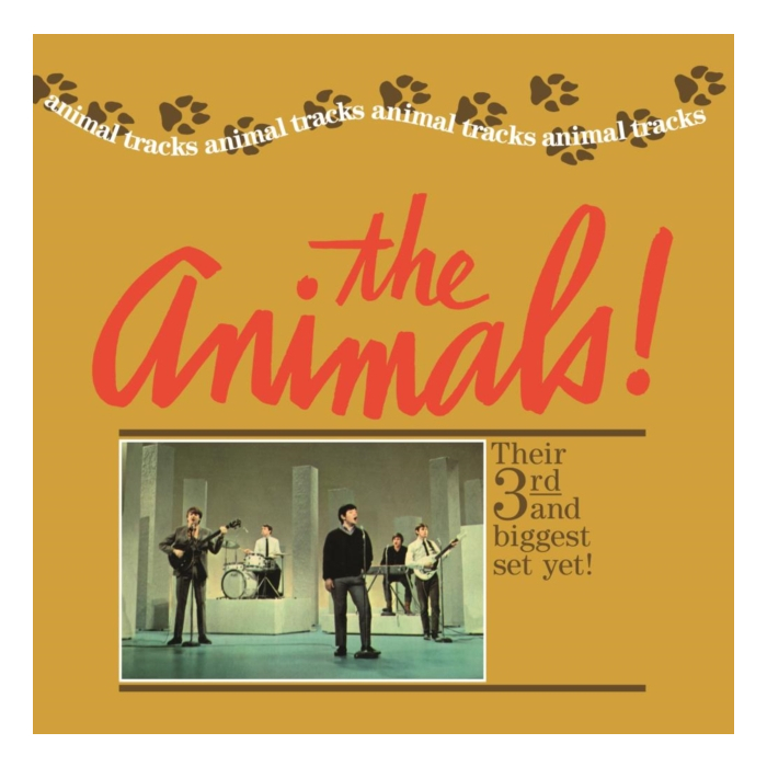 ANIMALS - ANIMAL TRACKS