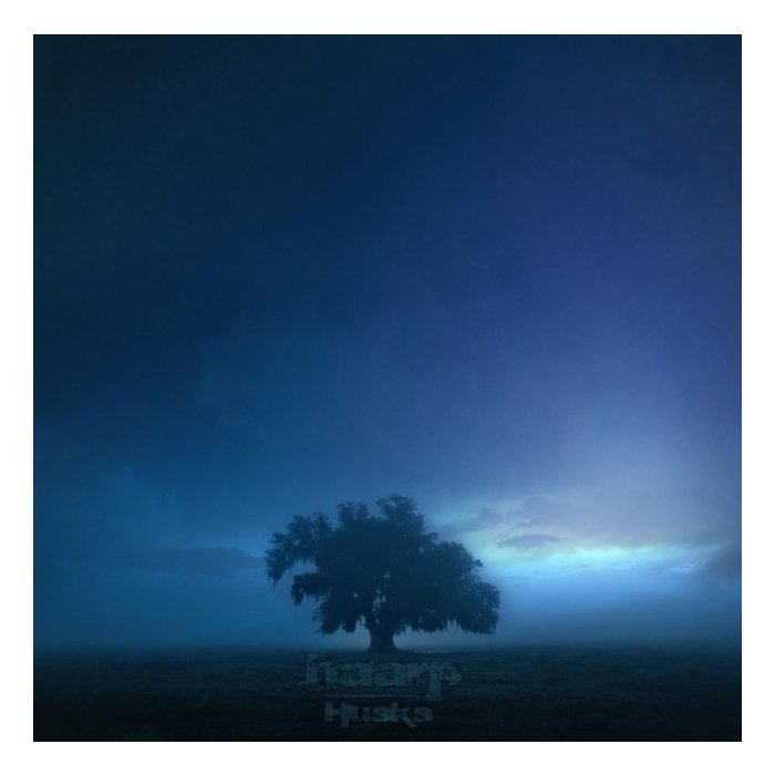 HAARP - HUSKS