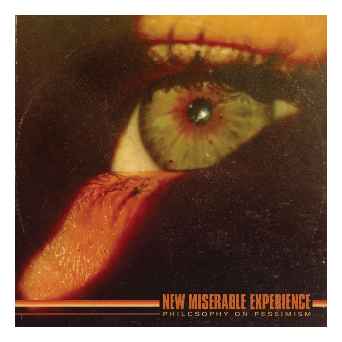 NEW MISERABLE EXPERIENCE - PHILOSOPHY ON PESSIMISM