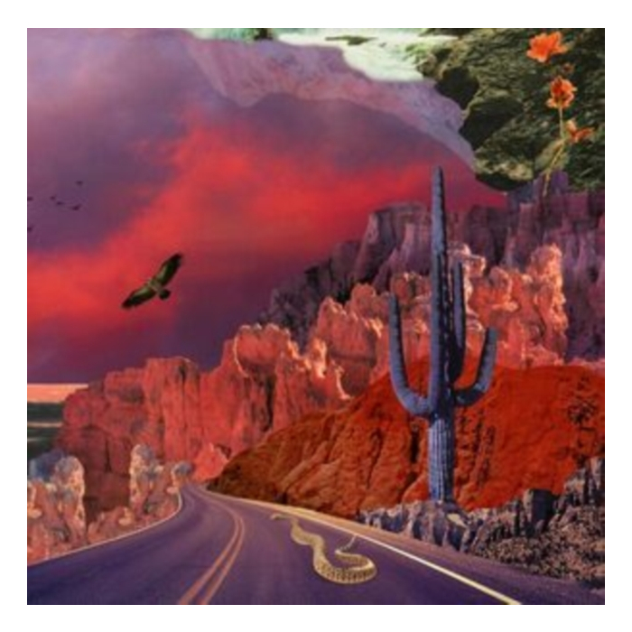 Apollyon (180G/2Lp) - Turkuaz