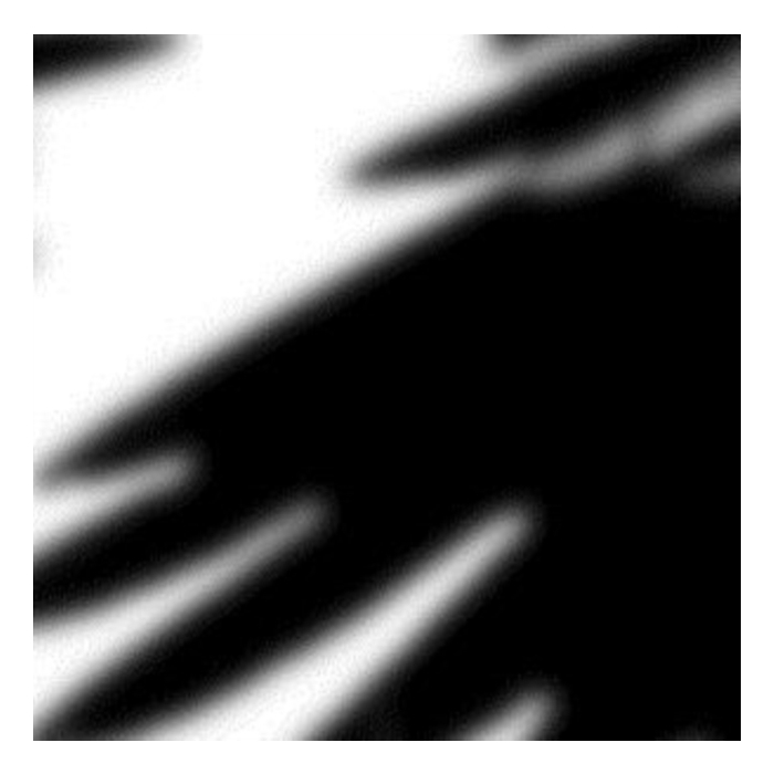 N/UM - RAVENS