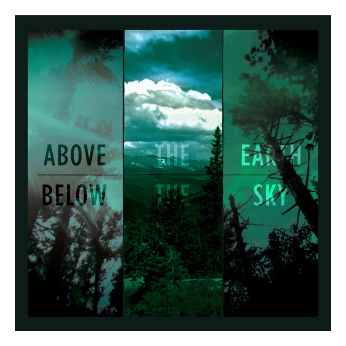 IF THESE TREES COULD TALK - ABOVE THE EARTH