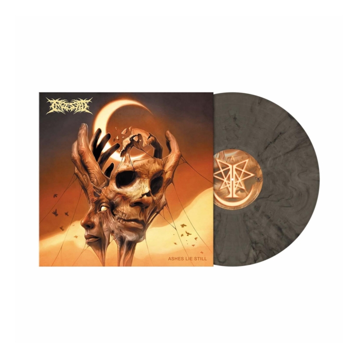 INGESTED - ASHES LIE STILL