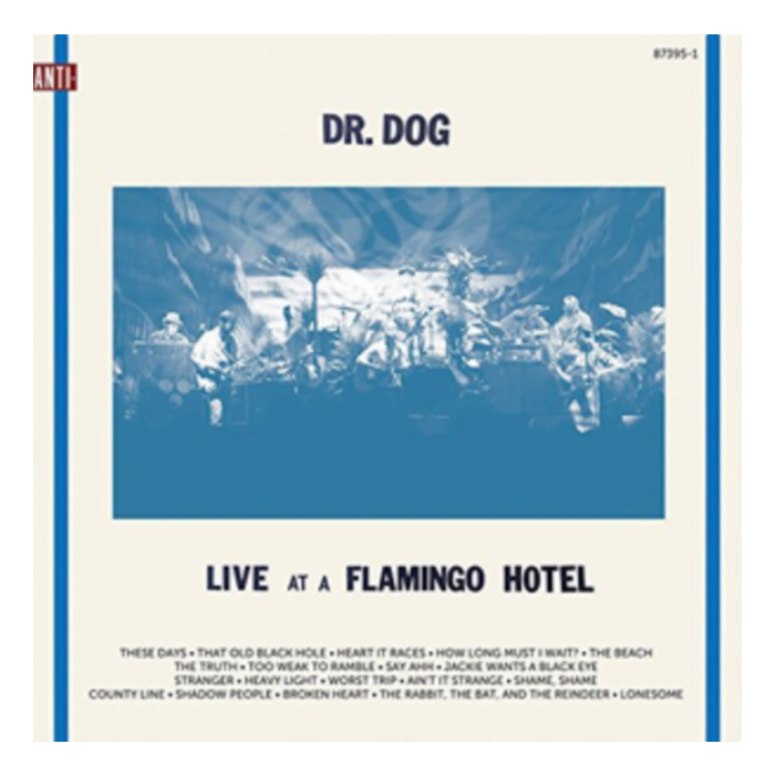 DR. DOG - LIVE AT A FLAMINGO HOTEL