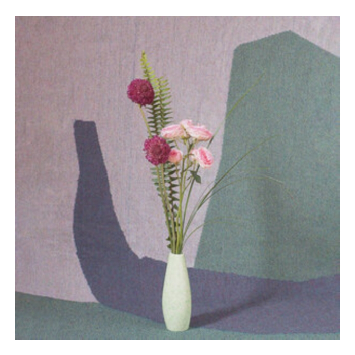 Ambient Ensemble (Parlor Green Vinyl) - Schofield,Nick