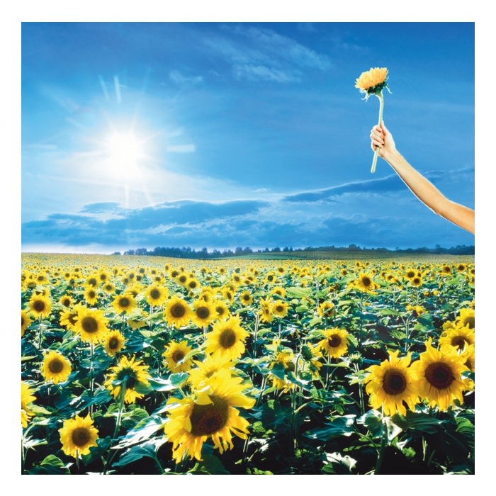 STONE TEMPLE PILOTS - THANK YOU (OPAQUE SKY BLUE VINYL/2LP) (ROCKTOBER)