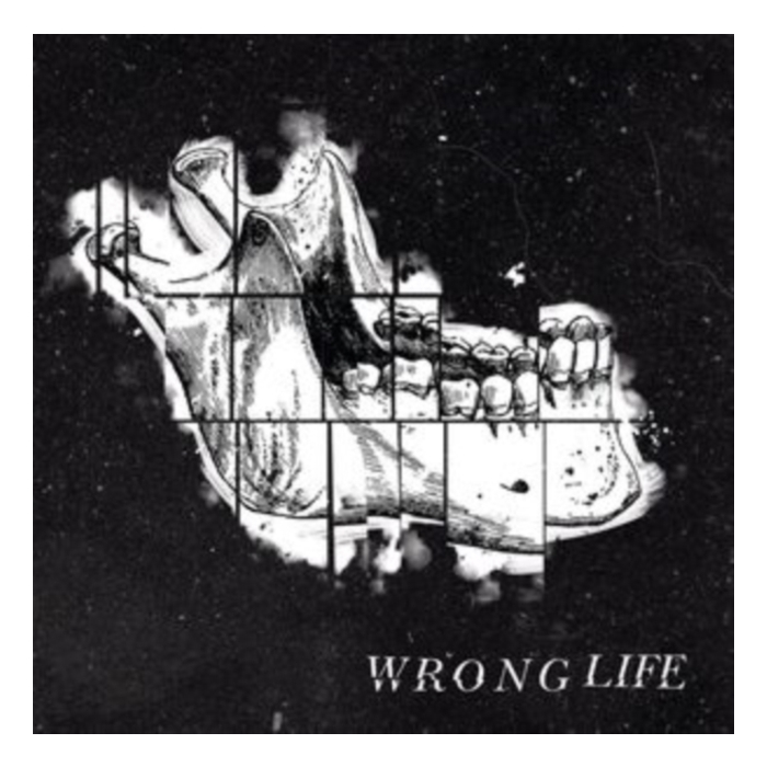 Wrong Life - Wrong Life