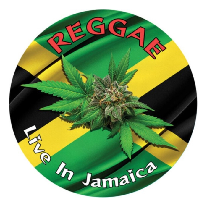 VARIOUS ARTISTS - REGGAE: LIVE IN JAMAICA (PICTURE DISC)