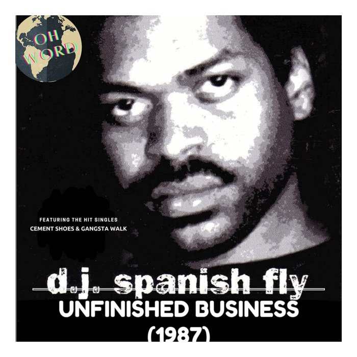 DJ SPANISH FLY - UNFINISHED BUSINESS (X)