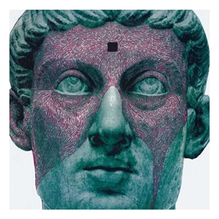 PROTOMARTYR - AGENT INTELLECT (DL CARD)