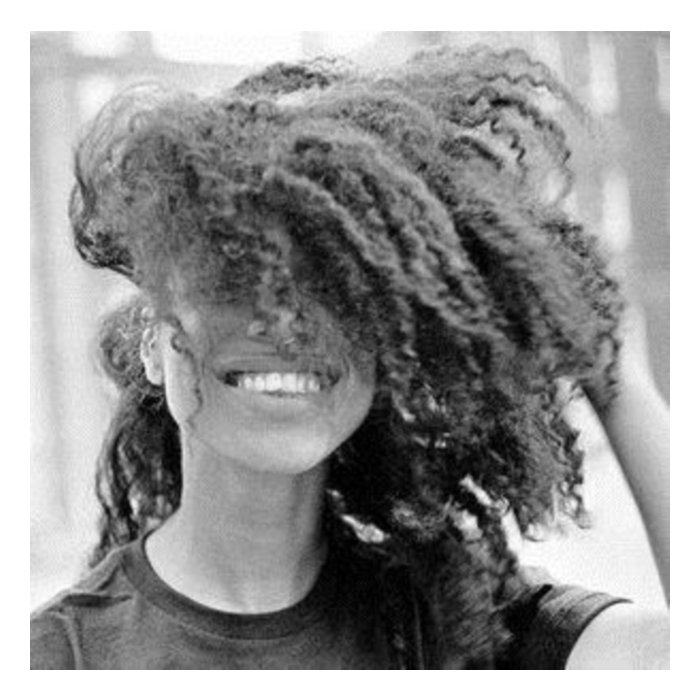 LA HAVAS