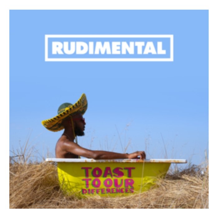 RUDIMENTAL - TOAST TO OUR DIFFERENCES (2LP)