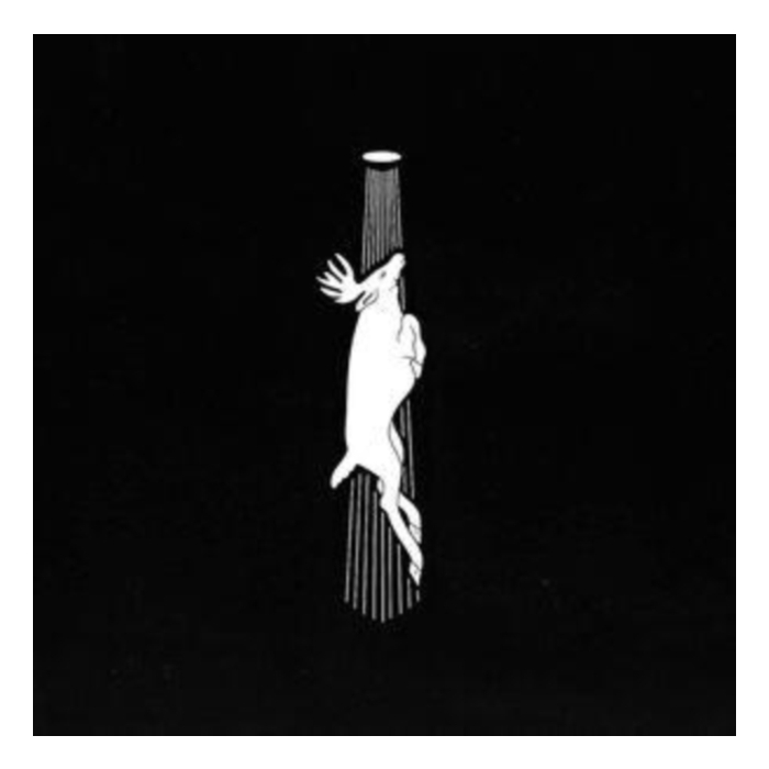 BITTER CALM - BITTER CALM