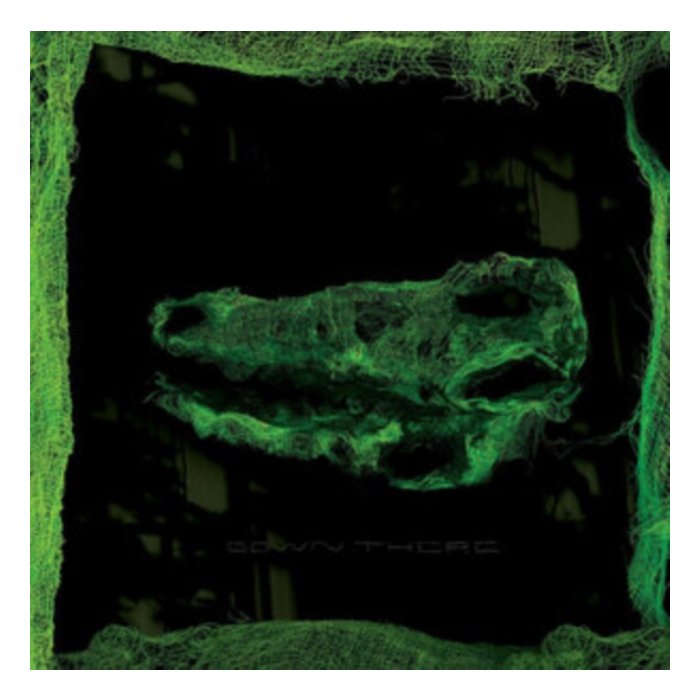 AVEY TARE - DOWN THERE (DL CARD)