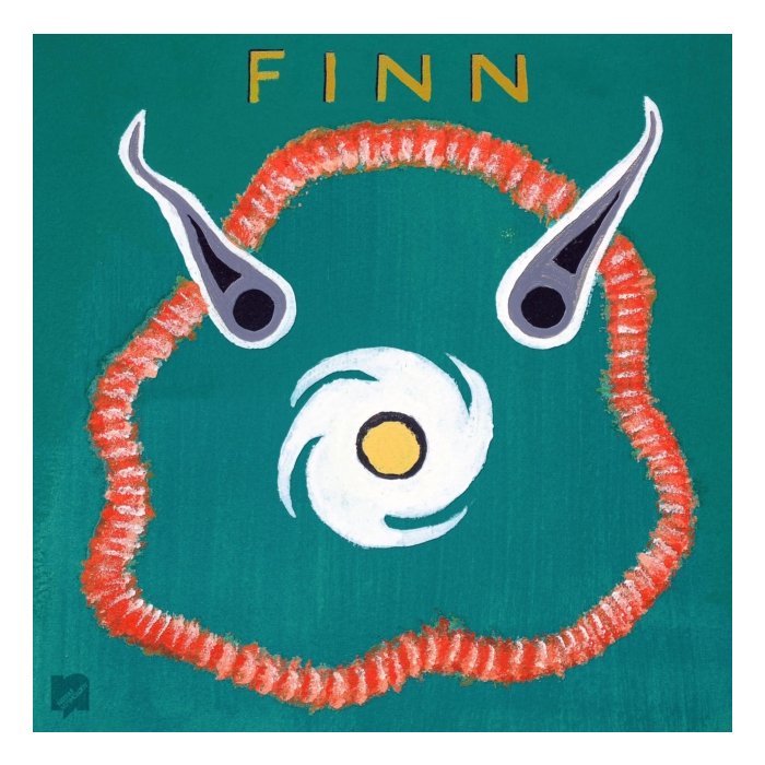 FINN BROTHERS - FINN