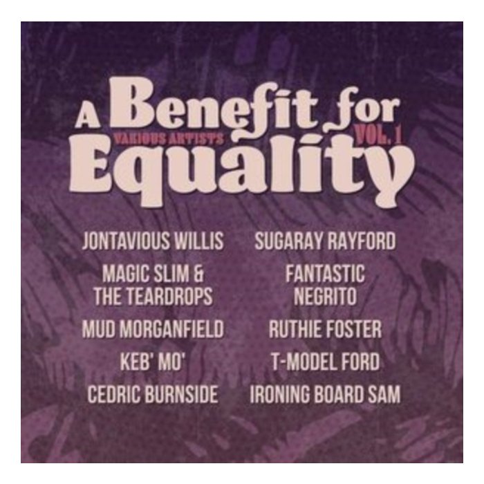 VARIOUS ARTISTS - BENEFIT FOR EQUALITY VOL. 1 (I)