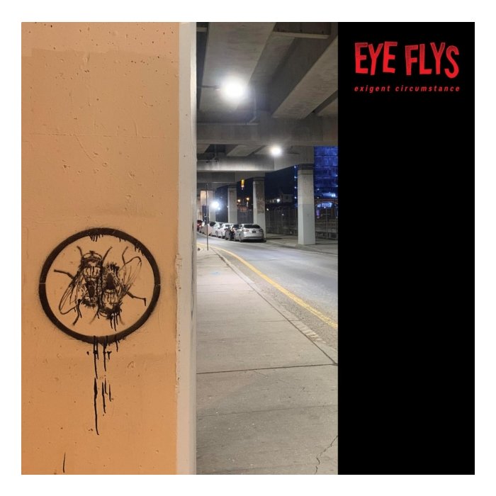 EYE FLYS - EXIGENT CIRCUMSTANCE