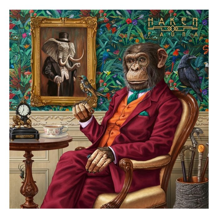 HAKEN - FAUNA (TRANSPARENT MAGENTA/2LP)