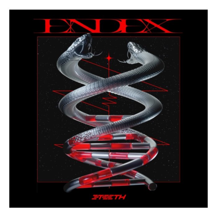 Endex (12X12 Lenticular Insert/Limited/Black & White Marble Vinyl) - 3Teeth