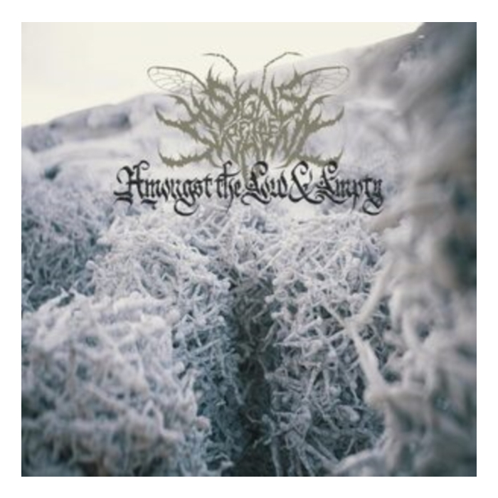 SIGNS OF THE SWARM - AMONGST THE LOW & EMPTY