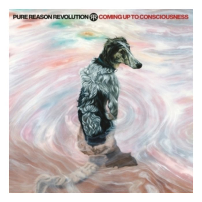 Coming Up To Consciousness - Pure Reason Revolution