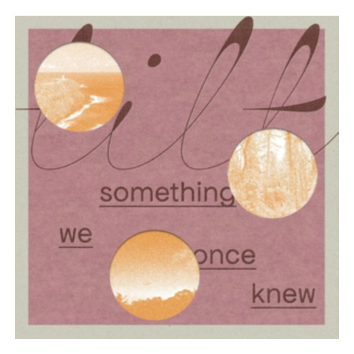 TILT - SOMETHING WE ONCE KNEW