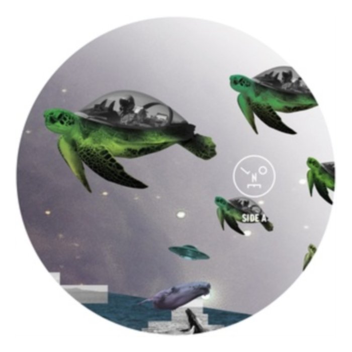 How To Wear Raybans Well - Sasha