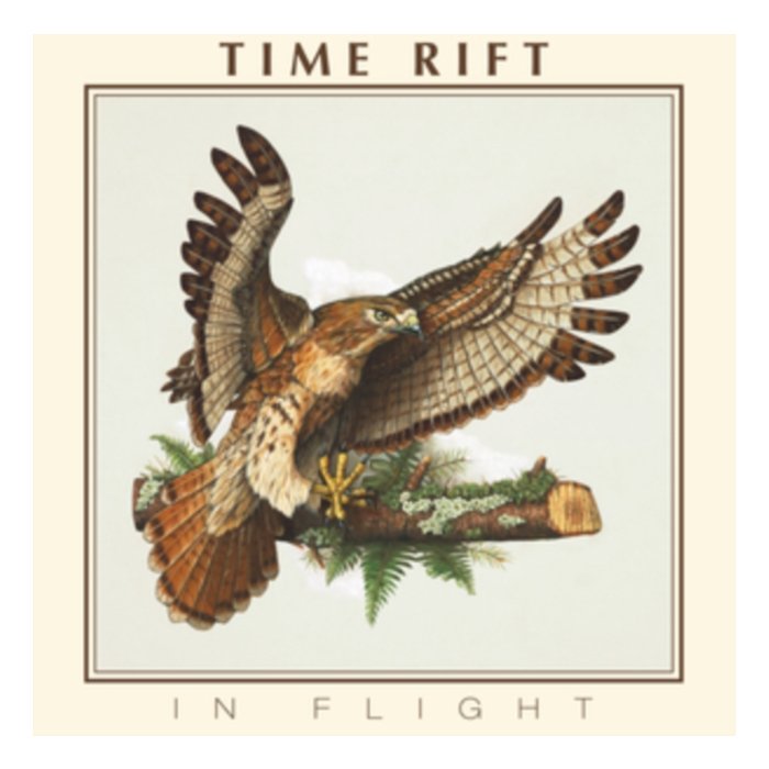 In Flight - Time Rift