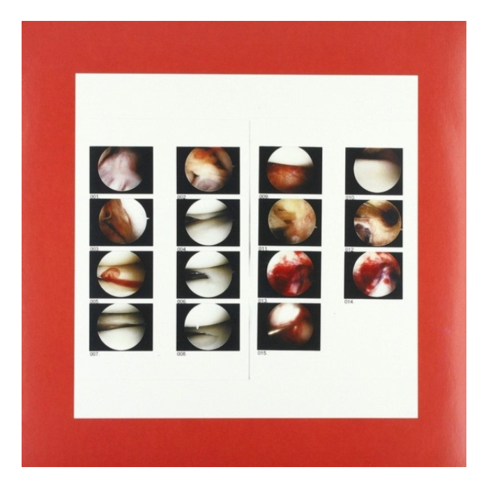 CRADLE - LAUGHING IN MY SLEEP (COKE BOTTLE GREEN VINYL/DL CARD)