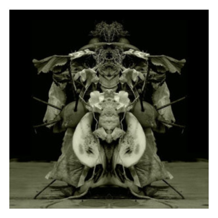 Uzu Oto - Gurun Gurun