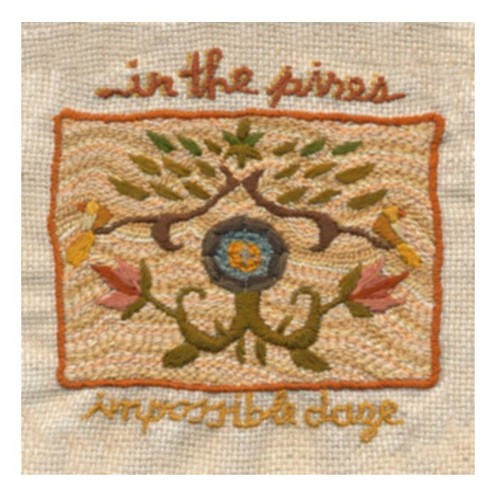 Impossible Daze - In The Pines